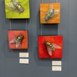 Fly paintings